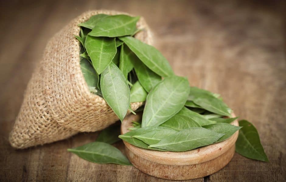 How to make Henna Powder with henna leaves?