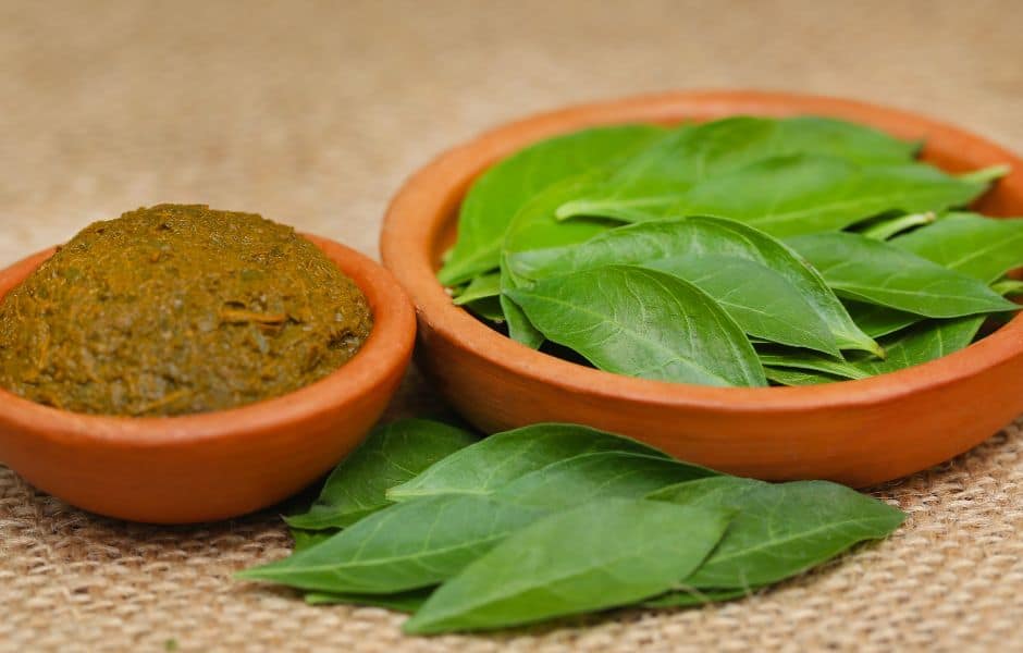 How to make Henna Powder with henna leaves?