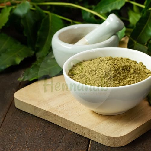 Organic Neem powder trading company in india Hennahub India