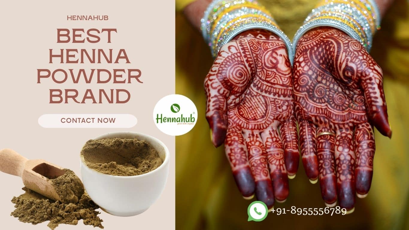 Best Henna Powder Brand in Egypt Hennahub India