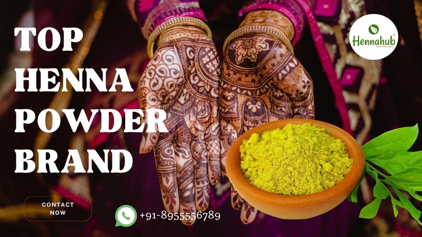 Best Henna Powder Brand in Egypt Hennahub India